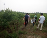 临近端午，总经理刘月琴组织人员农庄采摘。